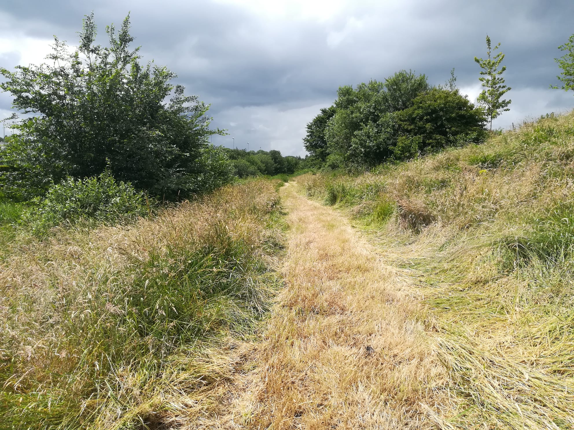 Ontdek het groene Bangeweer