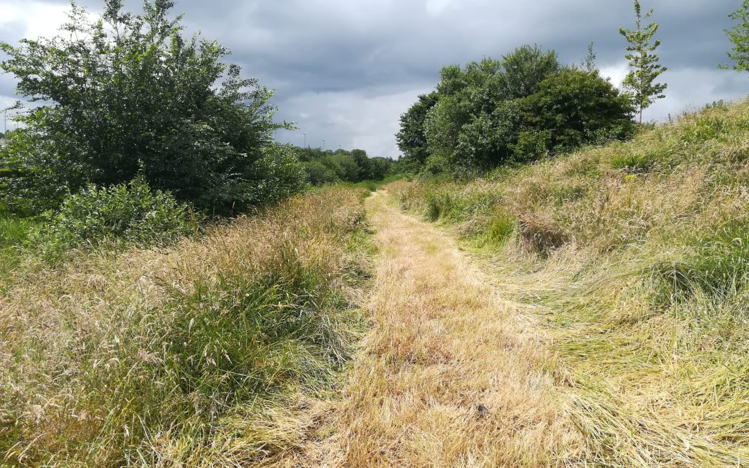 Ontdek het groene Bangeweer